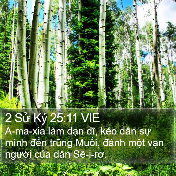 2 Sử Ký 25:11 VIE Bible Study