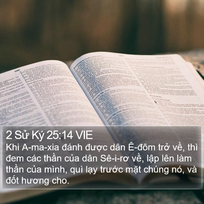 2 Sử Ký 25:14 VIE Bible Study