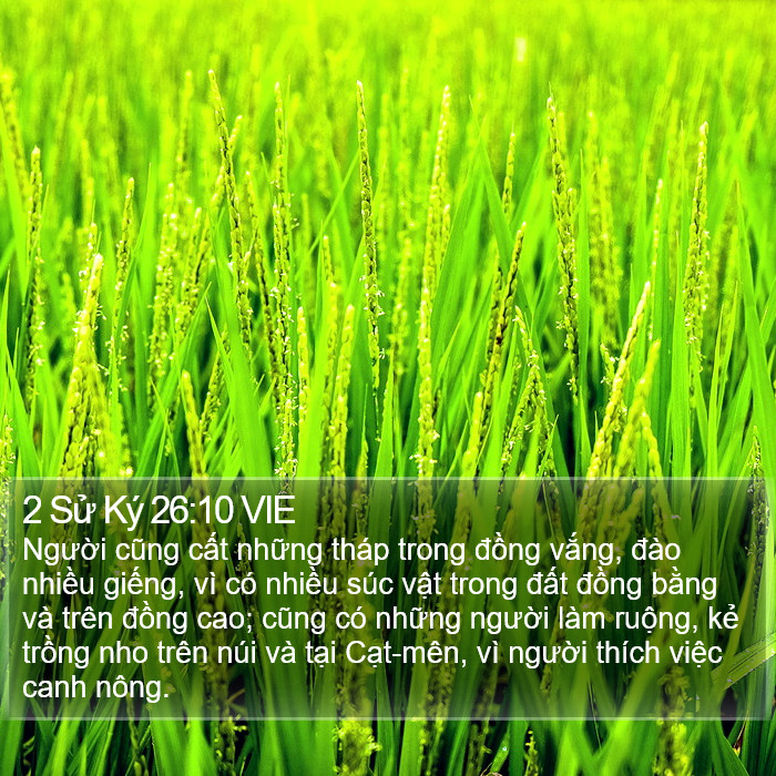 2 Sử Ký 26:10 VIE Bible Study