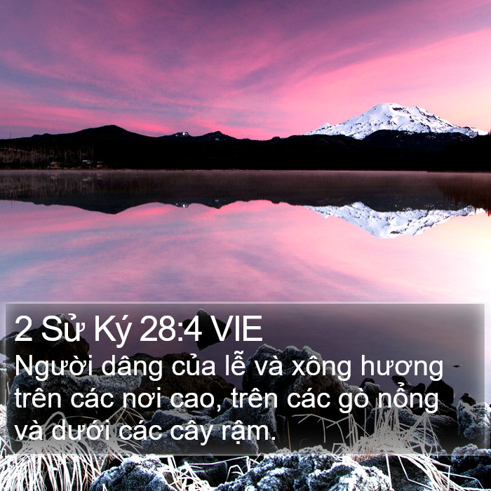 2 Sử Ký 28:4 VIE Bible Study