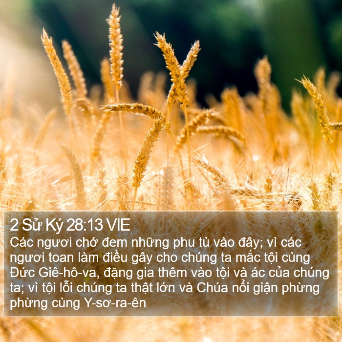 2 Sử Ký 28:13 VIE Bible Study