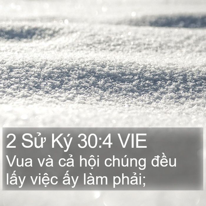 2 Sử Ký 30:4 VIE Bible Study