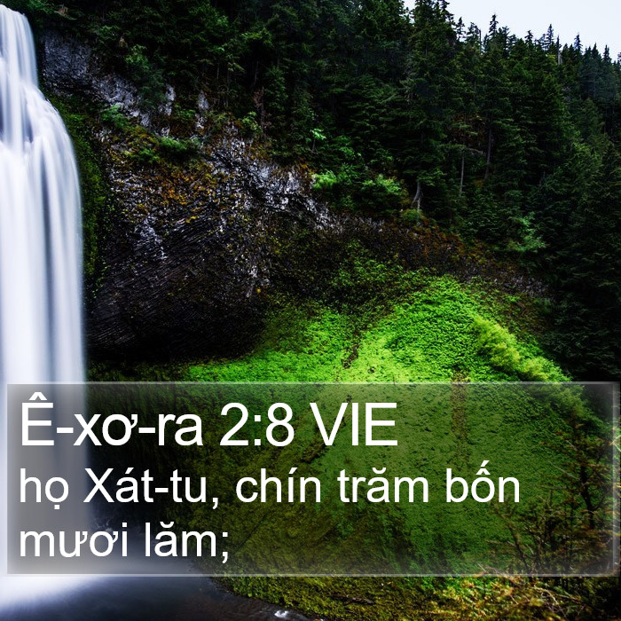 Ê-xơ-ra 2:8 VIE Bible Study