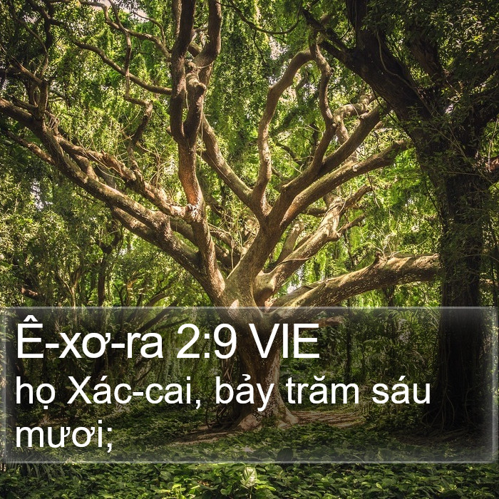 Ê-xơ-ra 2:9 VIE Bible Study
