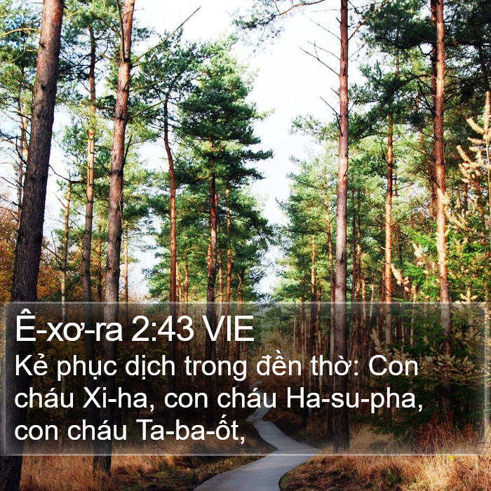 Ê-xơ-ra 2:43 VIE Bible Study