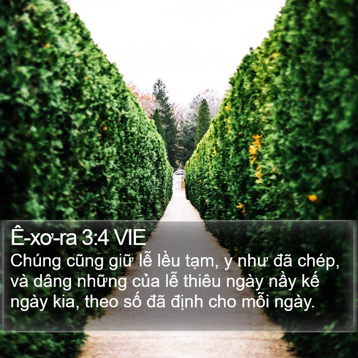 Ê-xơ-ra 3:4 VIE Bible Study
