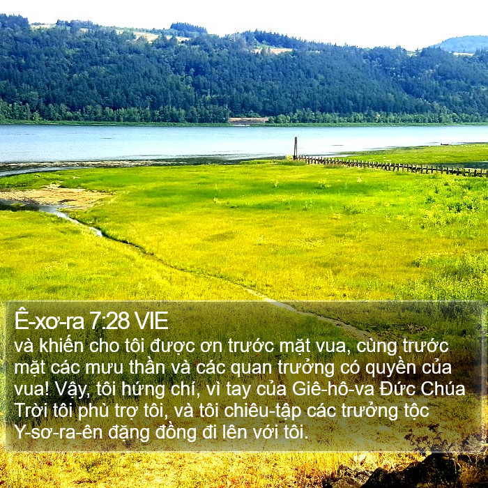 Ê-xơ-ra 7:28 VIE Bible Study