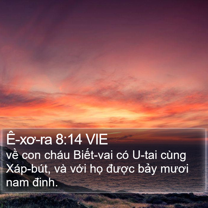 Ê-xơ-ra 8:14 VIE Bible Study