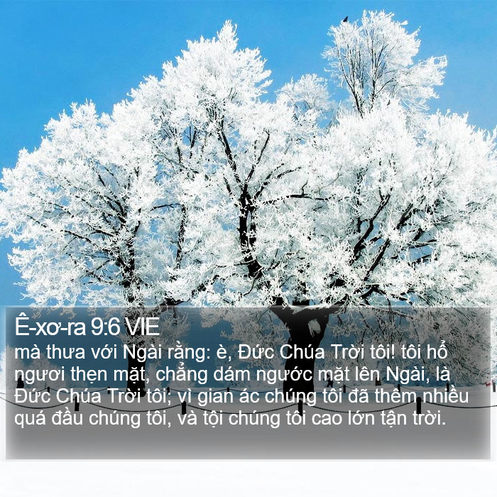 Ê-xơ-ra 9:6 VIE Bible Study