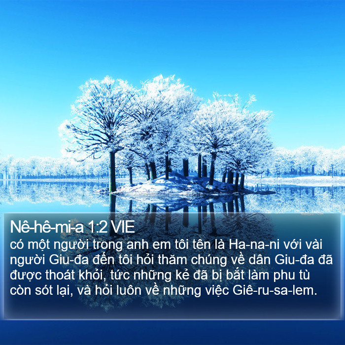 Nê-hê-mi-a 1:2 VIE Bible Study