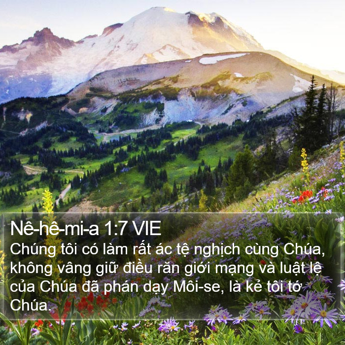 Nê-hê-mi-a 1:7 VIE Bible Study