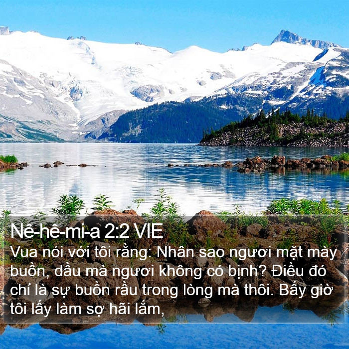 Nê-hê-mi-a 2:2 VIE Bible Study