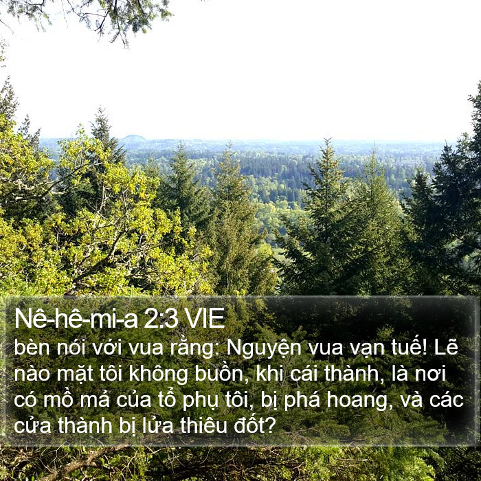 Nê-hê-mi-a 2:3 VIE Bible Study