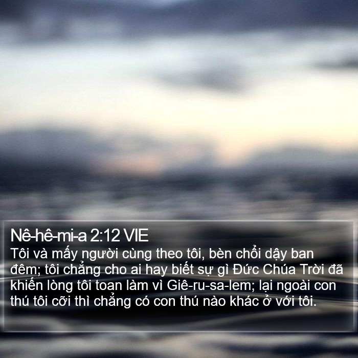 Nê-hê-mi-a 2:12 VIE Bible Study