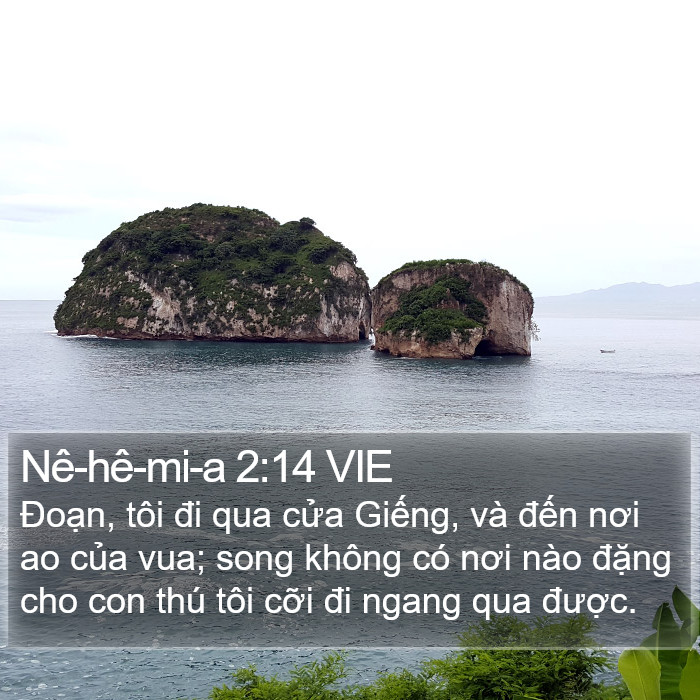 Nê-hê-mi-a 2:14 VIE Bible Study