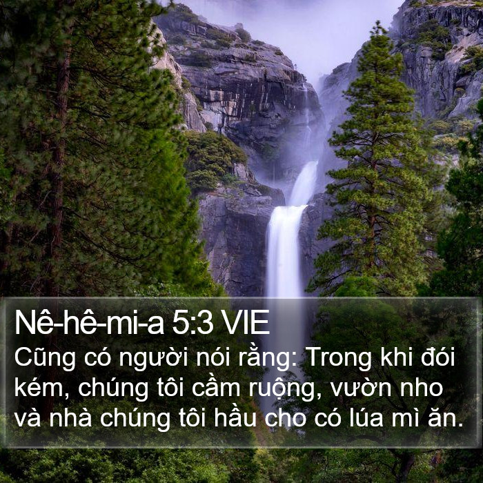 Nê-hê-mi-a 5:3 VIE Bible Study