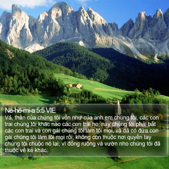 Nê-hê-mi-a 5:5 VIE Bible Study