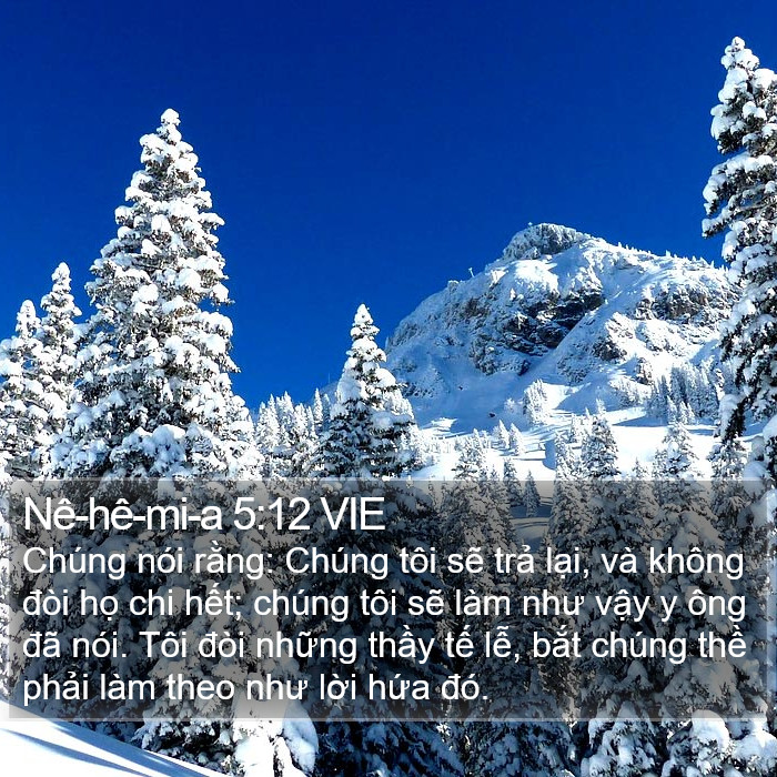 Nê-hê-mi-a 5:12 VIE Bible Study