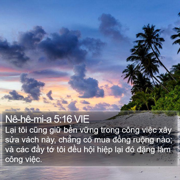 Nê-hê-mi-a 5:16 VIE Bible Study