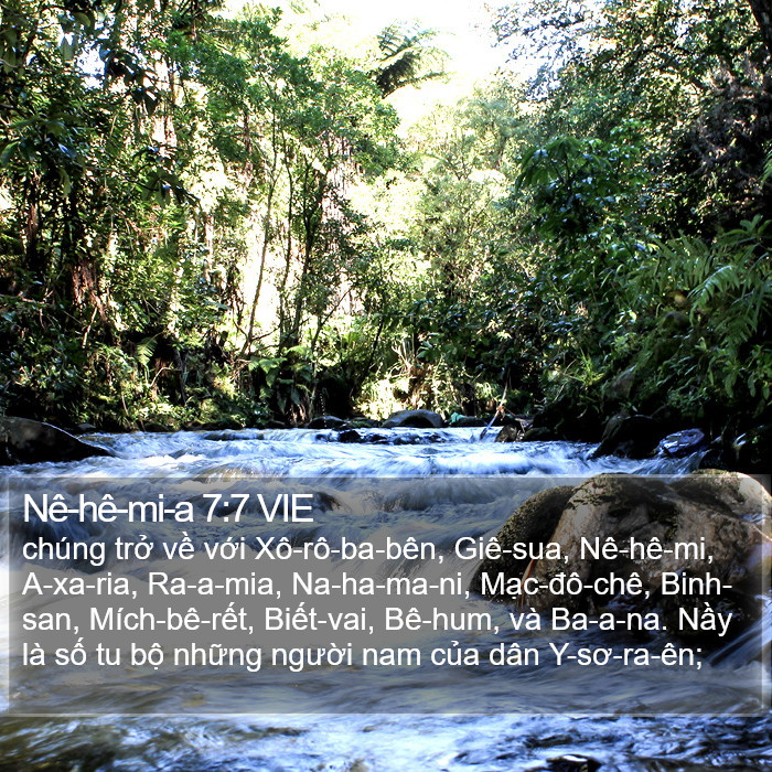 Nê-hê-mi-a 7:7 VIE Bible Study