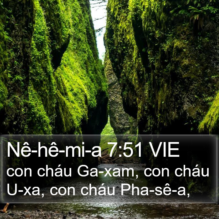Nê-hê-mi-a 7:51 VIE Bible Study