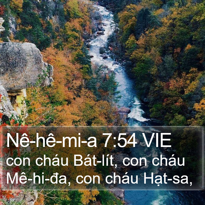 Nê-hê-mi-a 7:54 VIE Bible Study