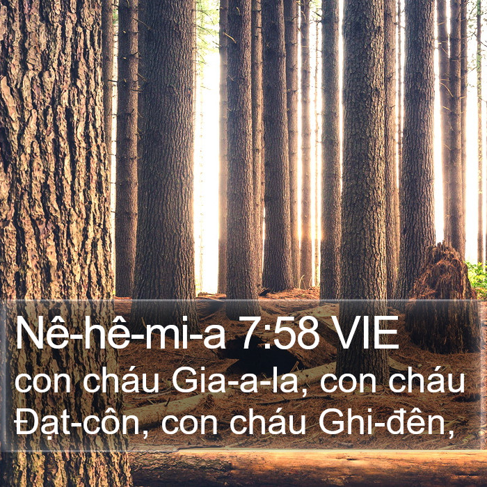 Nê-hê-mi-a 7:58 VIE Bible Study