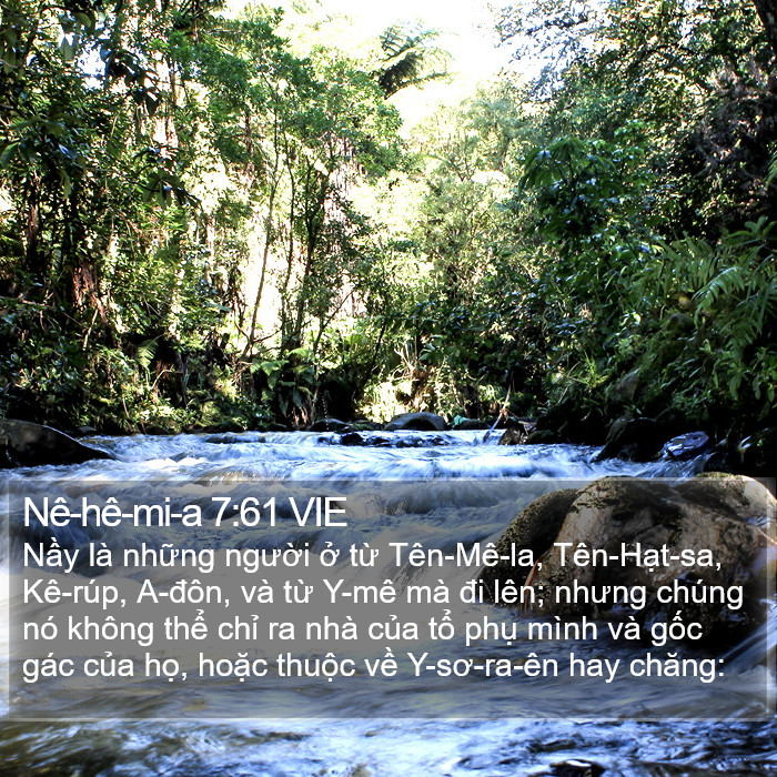 Nê-hê-mi-a 7:61 VIE Bible Study