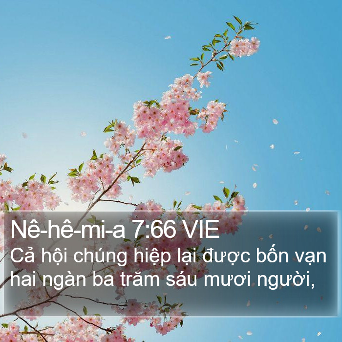 Nê-hê-mi-a 7:66 VIE Bible Study