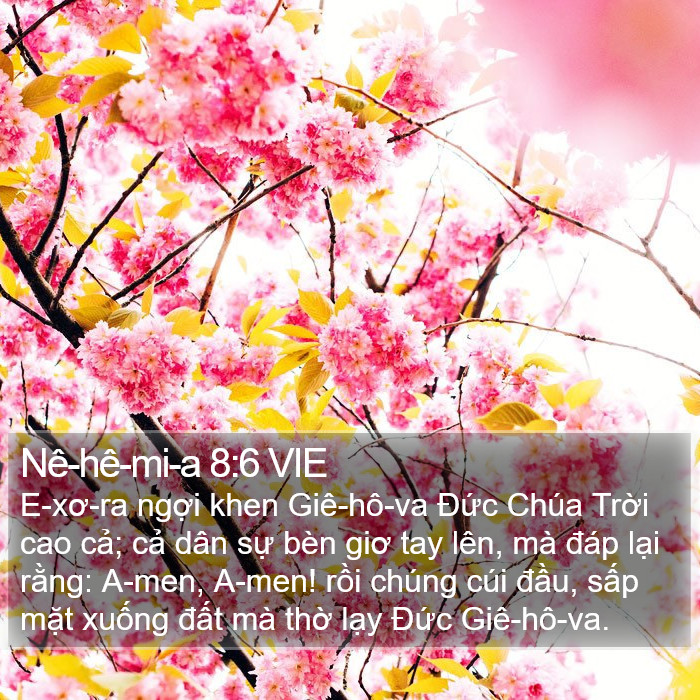 Nê-hê-mi-a 8:6 VIE Bible Study