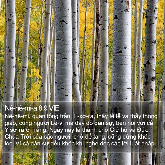 Nê-hê-mi-a 8:9 VIE Bible Study