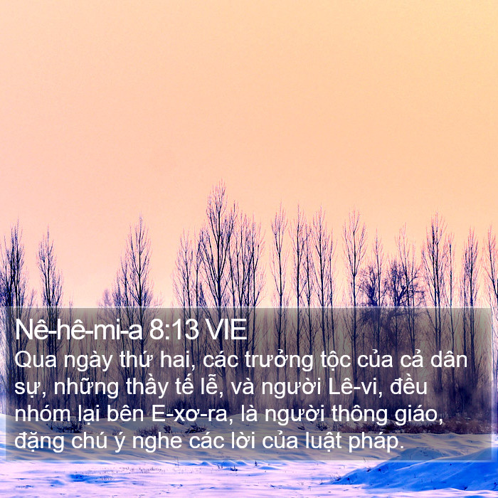 Nê-hê-mi-a 8:13 VIE Bible Study
