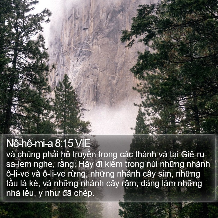 Nê-hê-mi-a 8:15 VIE Bible Study