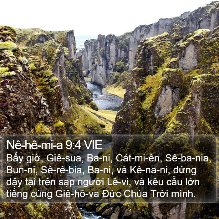 Nê-hê-mi-a 9:4 VIE Bible Study