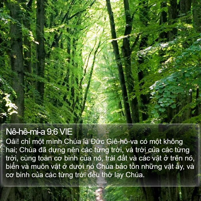 Nê-hê-mi-a 9:6 VIE Bible Study