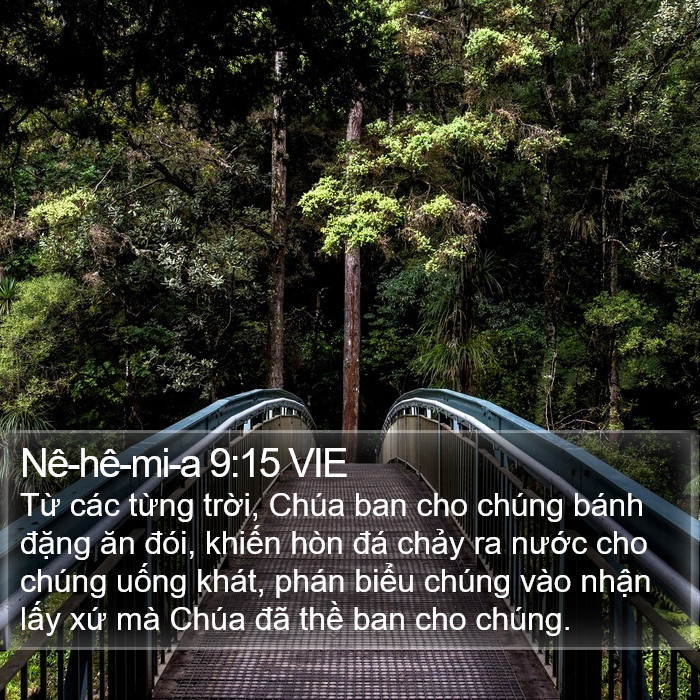 Nê-hê-mi-a 9:15 VIE Bible Study