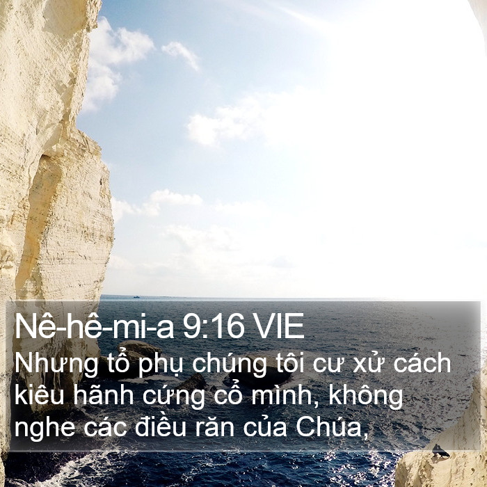 Nê-hê-mi-a 9:16 VIE Bible Study