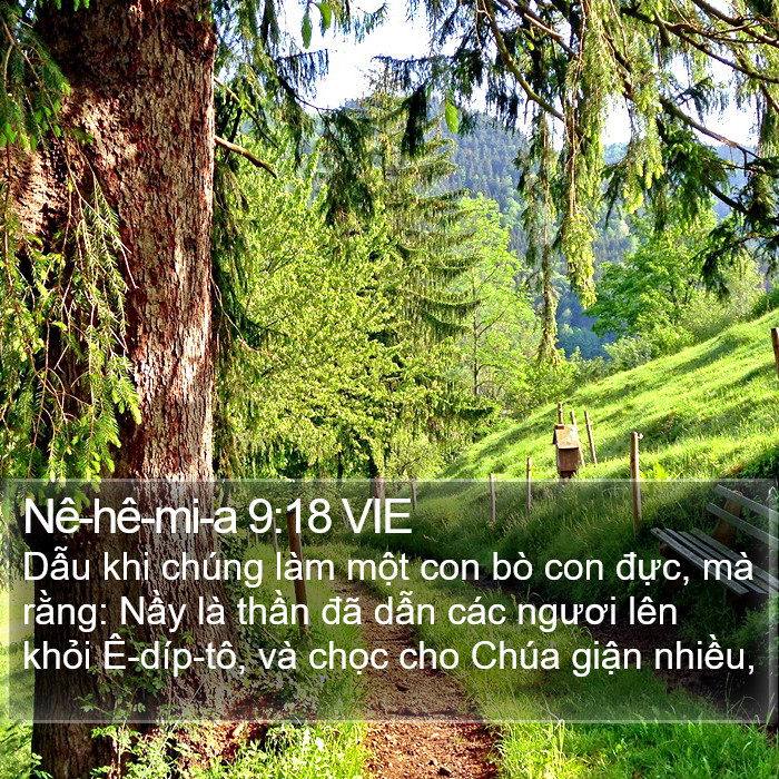 Nê-hê-mi-a 9:18 VIE Bible Study