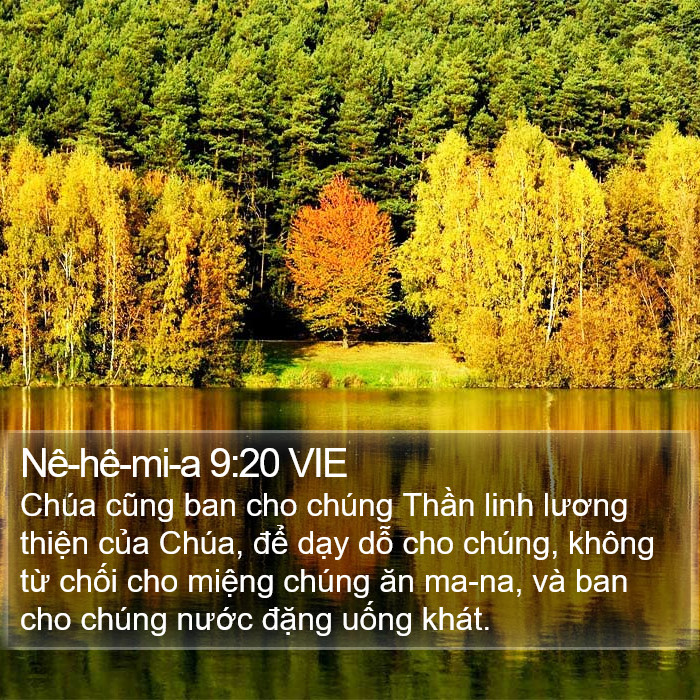 Nê-hê-mi-a 9:20 VIE Bible Study