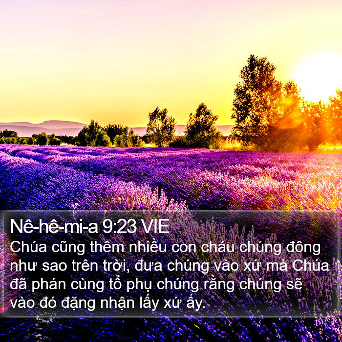 Nê-hê-mi-a 9:23 VIE Bible Study