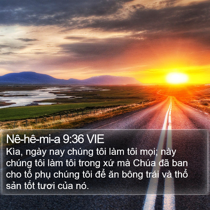 Nê-hê-mi-a 9:36 VIE Bible Study