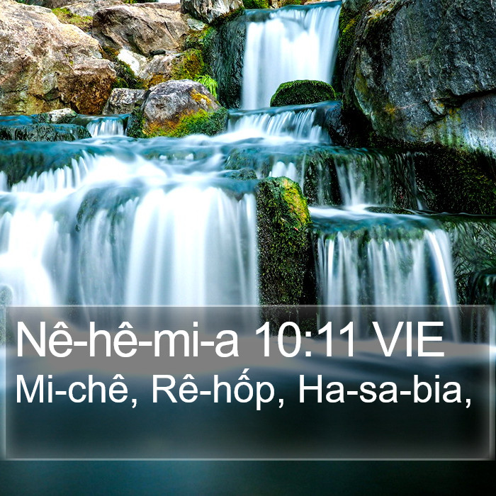 Nê-hê-mi-a 10:11 VIE Bible Study