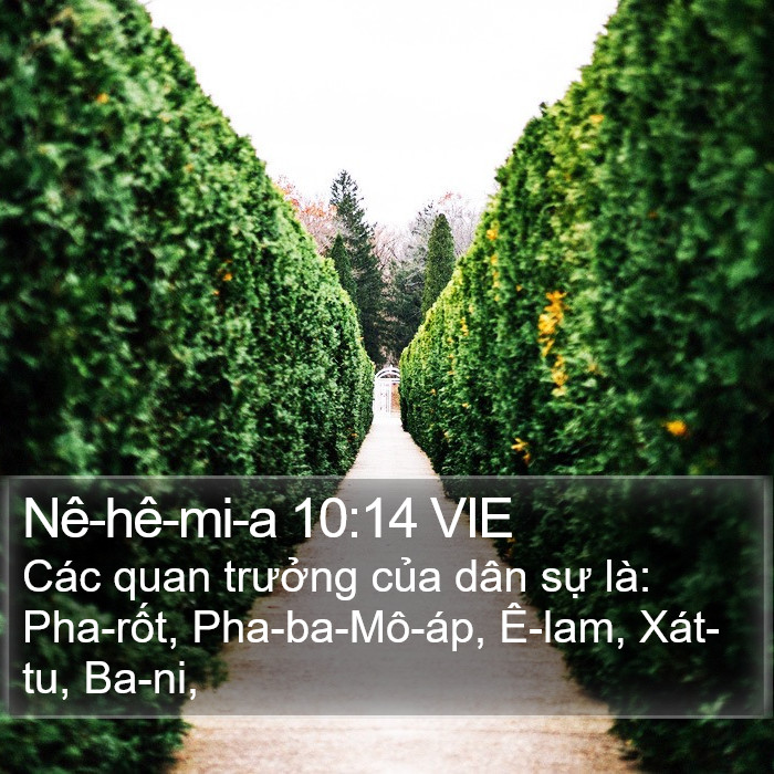Nê-hê-mi-a 10:14 VIE Bible Study