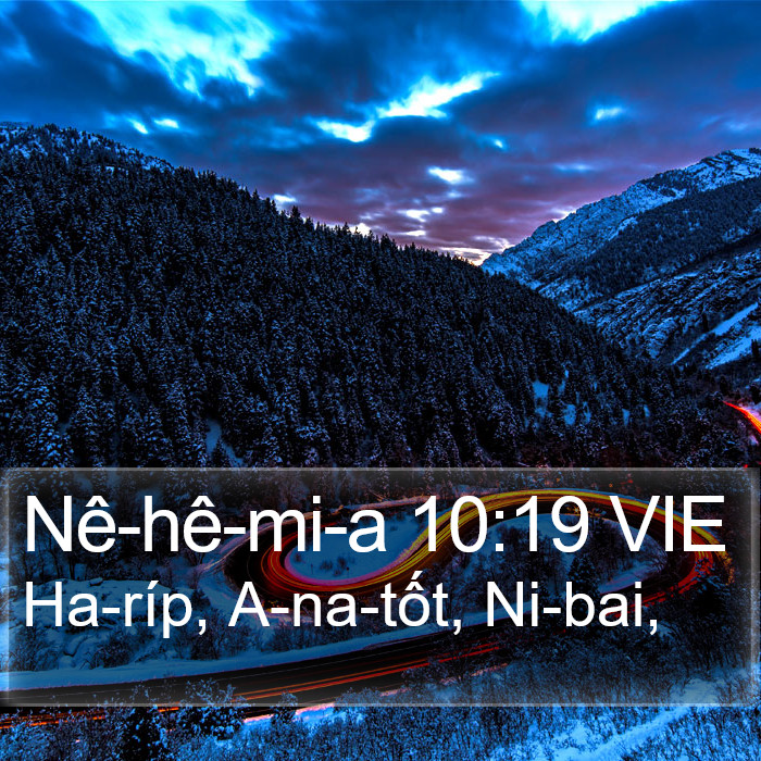Nê-hê-mi-a 10:19 VIE Bible Study