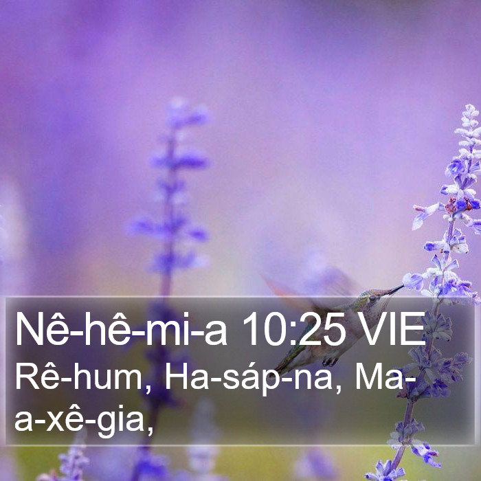 Nê-hê-mi-a 10:25 VIE Bible Study