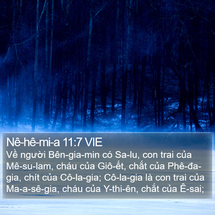 Nê-hê-mi-a 11:7 VIE Bible Study