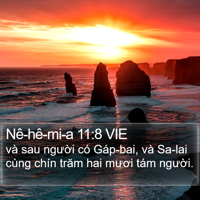 Nê-hê-mi-a 11:8 VIE Bible Study