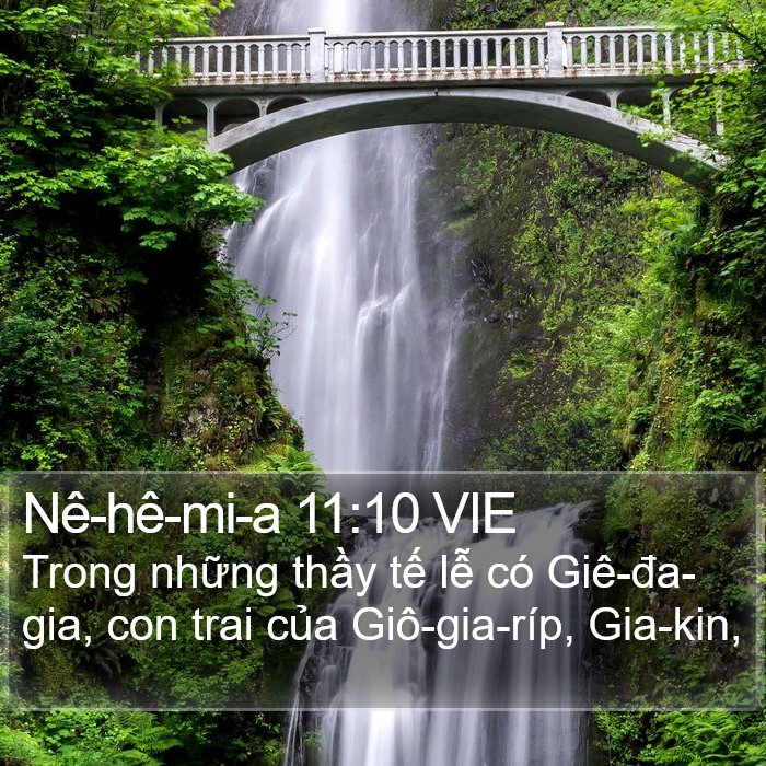 Nê-hê-mi-a 11:10 VIE Bible Study