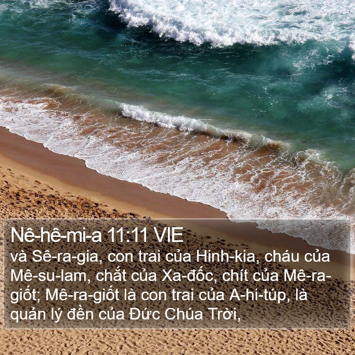 Nê-hê-mi-a 11:11 VIE Bible Study