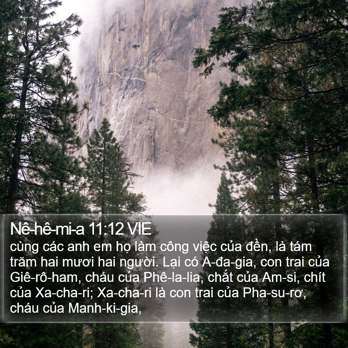 Nê-hê-mi-a 11:12 VIE Bible Study